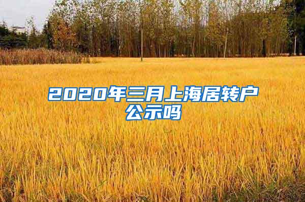 2020年三月上海居转户公示吗