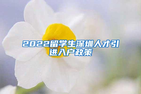 2022留学生深圳人才引进入户政策