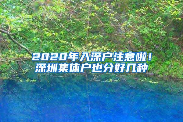 2020年入深户注意啦！深圳集体户也分好几种