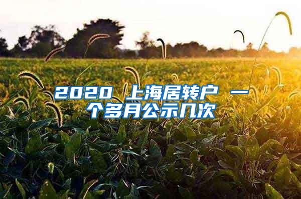 2020 上海居转户 一个多月公示几次