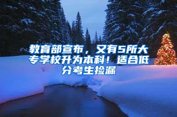 教育部宣布，又有5所大专学校升为本科！适合低分考生捡漏