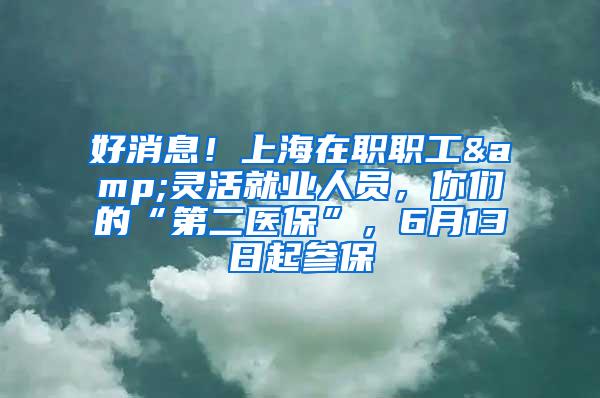 好消息！上海在职职工&灵活就业人员，你们的“第二医保”，6月13日起参保