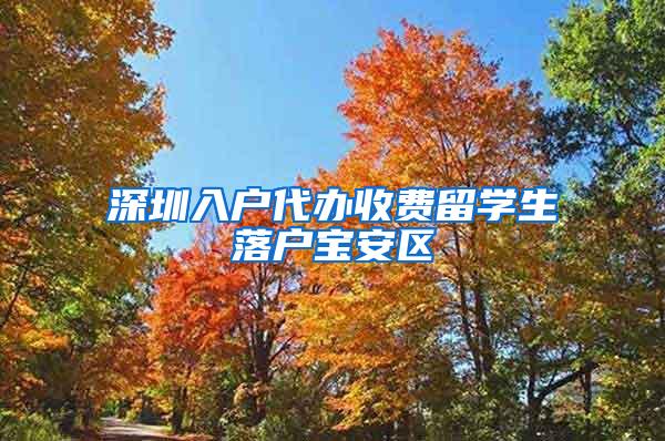 深圳入户代办收费留学生落户宝安区