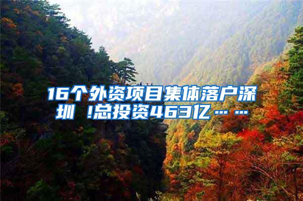 16个外资项目集体落户深圳 !总投资463亿……