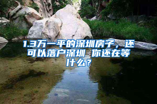 1.3万一平的深圳房子，还可以落户深圳 你还在等什么？