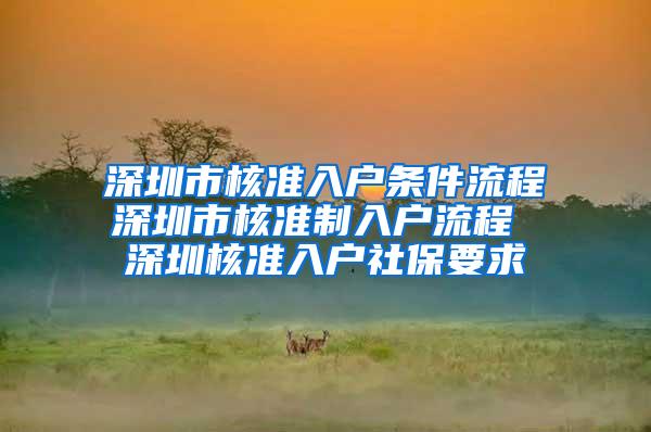 深圳市核准入户条件流程深圳市核准制入户流程 深圳核准入户社保要求