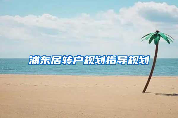 浦东居转户规划指导规划