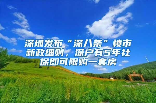 深圳发布“深八条”楼市新政细则，深户有5年社保即可限购一套房