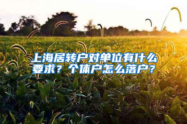 上海居转户对单位有什么要求？个体户怎么落户？