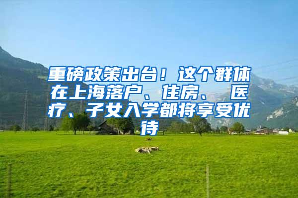 重磅政策出台！这个群体在上海落户、住房、 医疗、子女入学都将享受优待