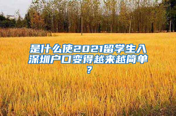 是什么使2021留学生入深圳户口变得越来越简单？