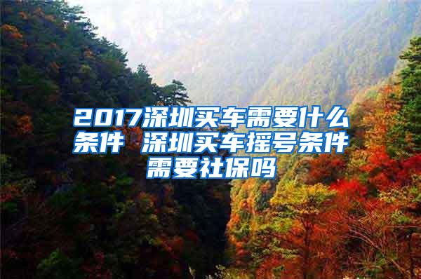 2017深圳买车需要什么条件 深圳买车摇号条件需要社保吗