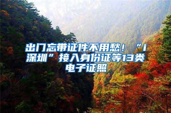 出门忘带证件不用愁！“i深圳”接入身份证等13类电子证照