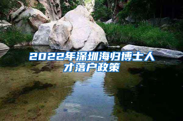 2022年深圳海归博士人才落户政策