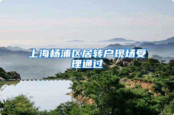 上海杨浦区居转户现场受理通过