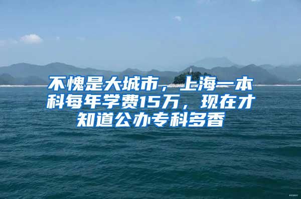 不愧是大城市，上海一本科每年学费15万，现在才知道公办专科多香