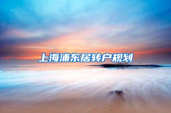 上海浦东居转户规划