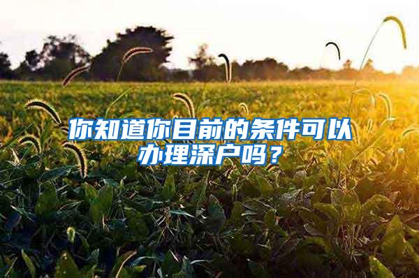 你知道你目前的条件可以办理深户吗？