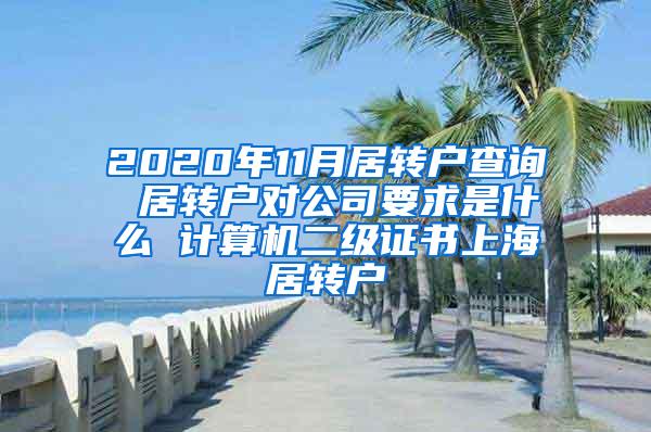 2020年11月居转户查询 居转户对公司要求是什么 计算机二级证书上海居转户
