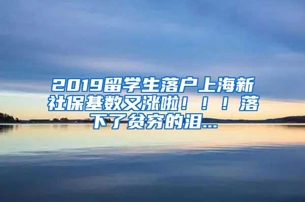 2019留学生落户上海新社保基数又涨啦！！！落下了贫穷的泪...