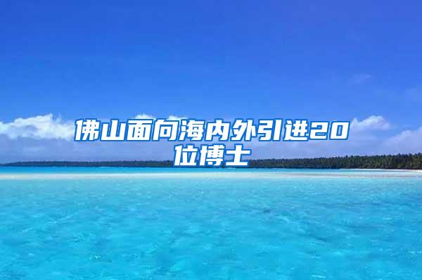 佛山面向海内外引进20位博士