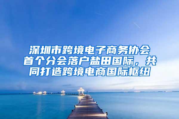 深圳市跨境电子商务协会首个分会落户盐田国际，共同打造跨境电商国际枢纽
