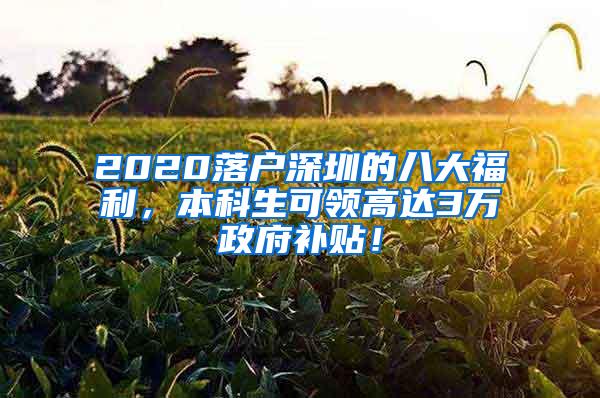 2020落户深圳的八大福利，本科生可领高达3万政府补贴！