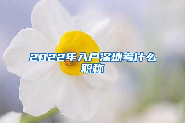 2022年入户深圳考什么职称