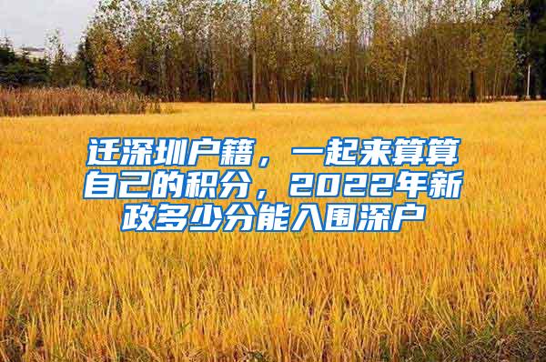 迁深圳户籍，一起来算算自己的积分，2022年新政多少分能入围深户