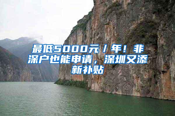 最低5000元／年！非深户也能申请，深圳又添新补贴