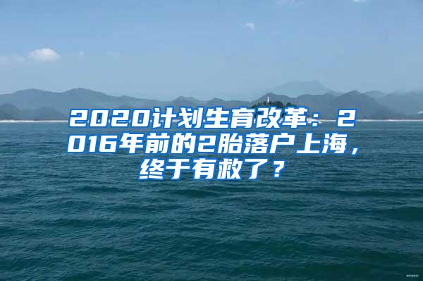 2020计划生育改革：2016年前的2胎落户上海，终于有救了？