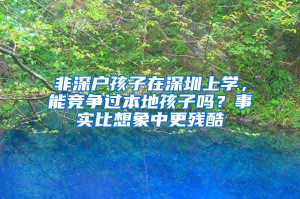 非深户孩子在深圳上学，能竞争过本地孩子吗？事实比想象中更残酷