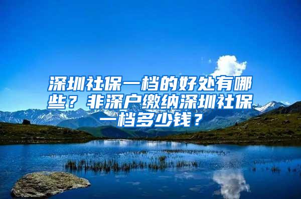 深圳社保一档的好处有哪些？非深户缴纳深圳社保一档多少钱？