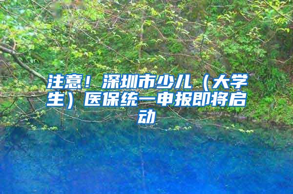 注意！深圳市少儿（大学生）医保统一申报即将启动