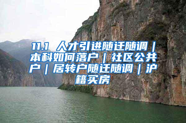 11.1 人才引进随迁随调｜本科如何落户｜社区公共户｜居转户随迁随调｜沪籍买房