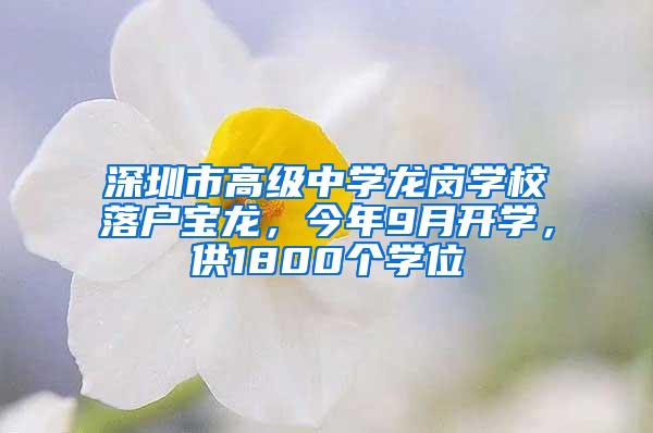 深圳市高级中学龙岗学校落户宝龙，今年9月开学，供1800个学位