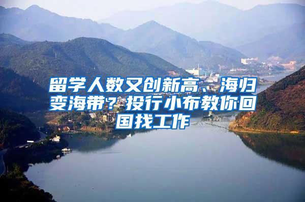 留学人数又创新高、海归变海带？投行小布教你回国找工作