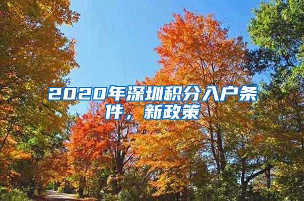 2020年深圳积分入户条件，新政策