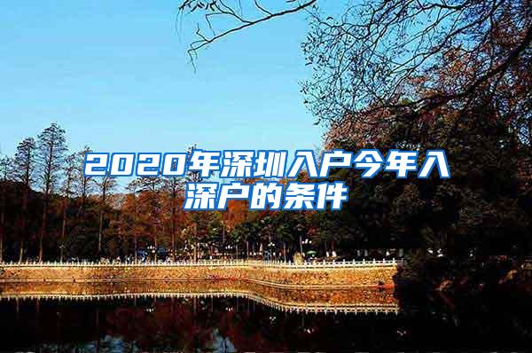 2020年深圳入户今年入深户的条件