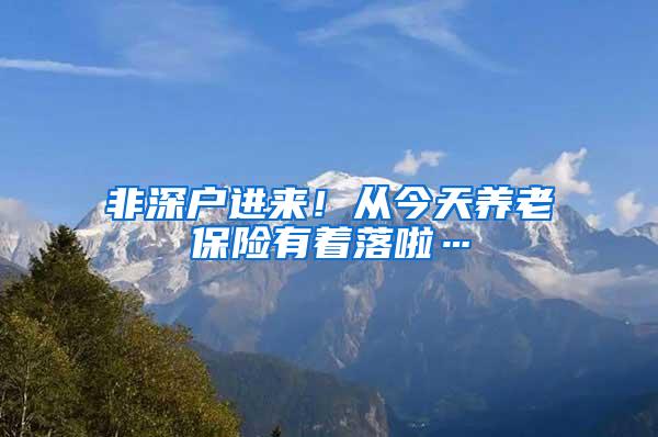 非深户进来！从今天养老保险有着落啦…