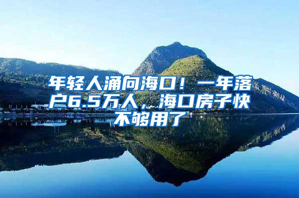 年轻人涌向海口！一年落户6.5万人，海口房子快不够用了