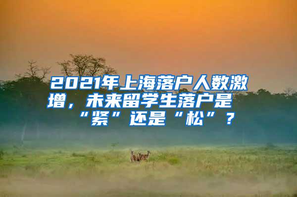 2021年上海落户人数激增，未来留学生落户是“紧”还是“松”？