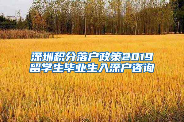 深圳积分落户政策2019留学生毕业生入深户咨询