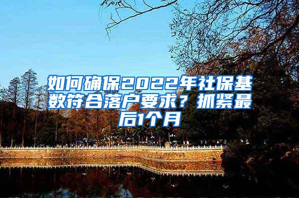 如何确保2022年社保基数符合落户要求？抓紧最后1个月