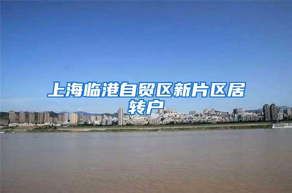 上海临港自贸区新片区居转户