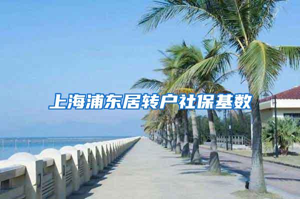 上海浦东居转户社保基数