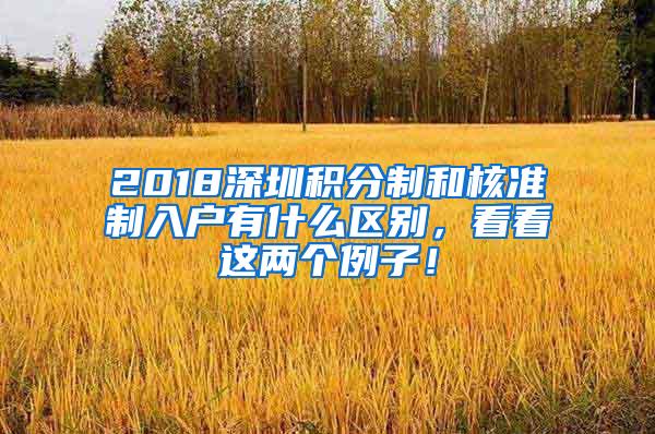 2018深圳积分制和核准制入户有什么区别，看看这两个例子！