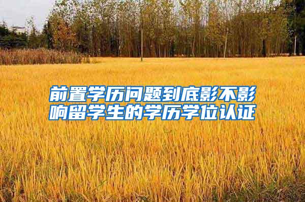 前置学历问题到底影不影响留学生的学历学位认证