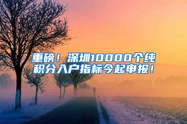 重磅！深圳10000个纯积分入户指标今起申报！