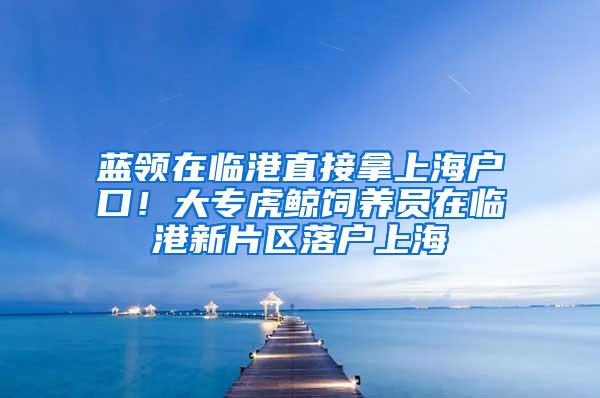 蓝领在临港直接拿上海户口！大专虎鲸饲养员在临港新片区落户上海